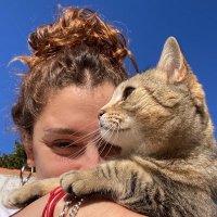 Pameloide 🌶️ (@pamfuro) 's Twitter Profile
