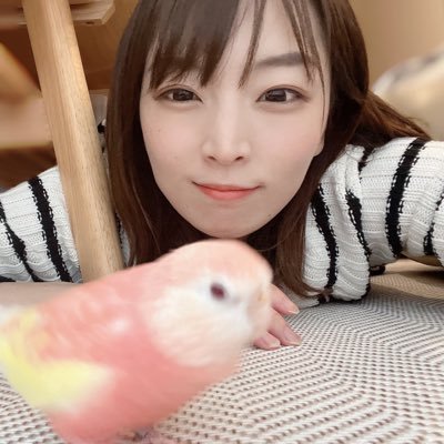俳協所属 声優/埼玉県加須市出身/ リポーター/MC/日本プロ麻雀連盟 麻雀格闘倶楽部・龍龍参戦中/Mリーグリポーター/ちくわ部部長 やる気と元気とド根性🔥 私書箱💌〒171-0021 東京都豊島区西池袋 5-2-14 有山ビル5階 DMはお仕事のご連絡のみ受け付けております。