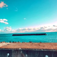 nora_2801๐น๐ซงโ๐ณ๐๐ต (@nora_2801) 's Twitter Profile