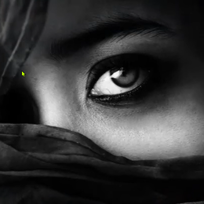 DarkGiphsy's profile picture. 