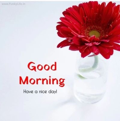 KumarV99343856's profile picture. Writer, father, friend, lawyer Sagittarius ♐ *Proud of Sanatan* ☸ Dharm.