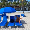 Elliotte Friedman's avatar