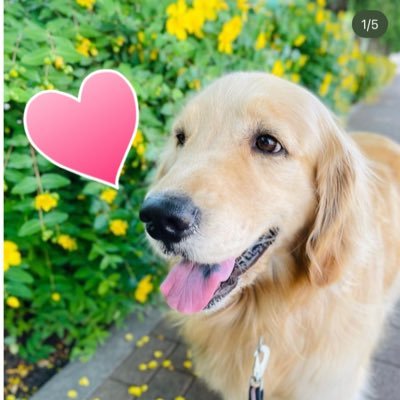道枝担で箱推し🌈 なにふぁむさんとたくさん仲良くなりたい😊推し活とか誘ってもらえたら喜びます♡気軽に声かけてください🫶関東ꕤ︎︎