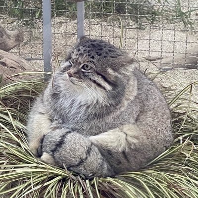 Miaさんのプロフィール画像