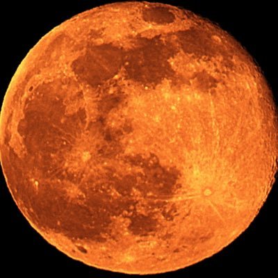 m0b1le0170's profile picture. tax accountant since 1999 💶#Kontrollgruppe #ostdeutsch sozialisiert #NichtUnserKrieg #NoCBDC #FCKxxx (x add your 3 favorite letter)