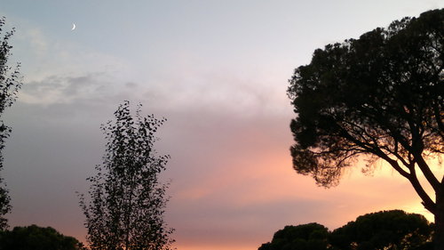 jossbolva's profile picture. Me defino como arriesgado y reciclado. Siempre me estoy reinventando. Quedarse de brazos cruzados? Yo no sirvo para eso.