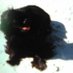 gracielatito (@gracielatito4) Twitter profile photo gracielatito (@gracielatito4) Twitter profile photo