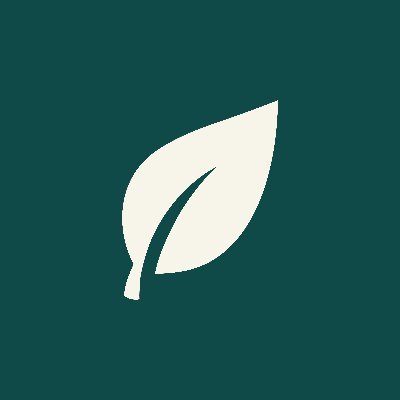 🌱 The first Play to Reforest - @MultiversX
🌳 50,000 Trees planted - @OneTreePlanted
🏕️ MINT LIVE https://t.co/Lj4OHYxYsj