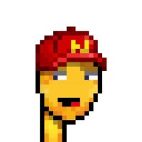 Nifty Nuggets (@nuggetsnifty) 's Twitter Profile Photo Nifty Nuggets (@nuggetsnifty) 's Twitter Profile Photo