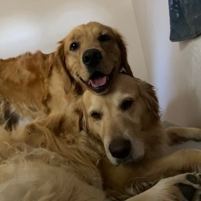 Silly Twitch streamer guy. Looking to make a relaxing space that’s fun and positive for everyone - come say hi! https://t.co/76Bqdju1IE