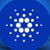 DecentralizedCrypto 🇺🇸 (@decentralizeada) Twitter profile photo DecentralizedCrypto 🇺🇸 (@decentralizeada) Twitter profile photo