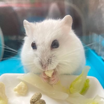 ななこ🌹映画済さんのプロフィール画像