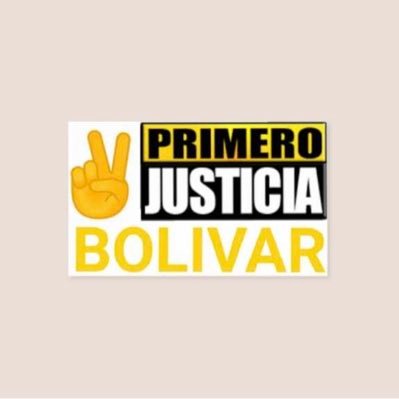 Línea Comunicacional, política y estratégica PJ para Edo.Bolívar.