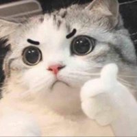 ɴᴀᴍᴍᴀɴᴇᴇ🐾 (@maneeksw) 's Twitter Profile