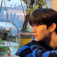 🌿fluffyforestGOs - CLOSING (@fluffyforestgos) 's Twitter Profile