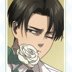 daily levi