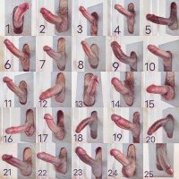 Bobot Bbw (@bbwbobot) 's Twitter Profile