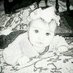 Chouaib Ococha (@chouaibococha) Twitter profile photo Chouaib Ococha (@chouaibococha) Twitter profile photo
