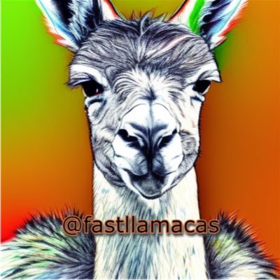 fastllamacas Profile Picture