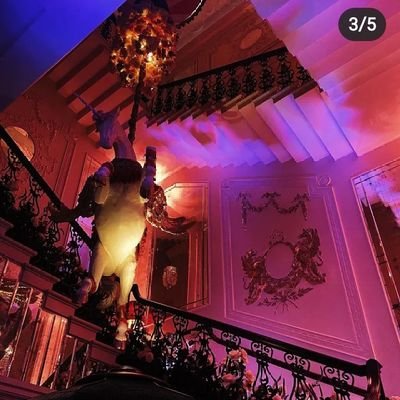 Currkat's profile picture. 