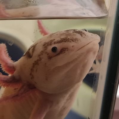 smeghead07's profile picture. just living life 💕