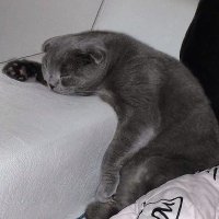 Eyüp Gündoğdu (@eyupeee) Twitter profile photo