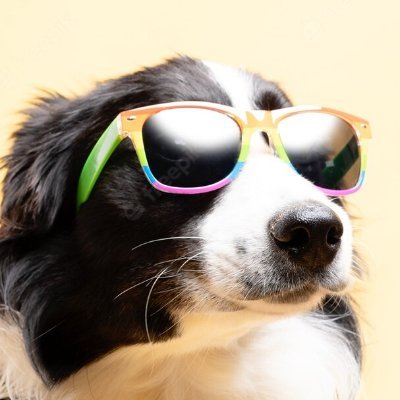 Babydogslaps's profile picture. cool