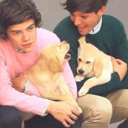 Louis y Harry los amo
