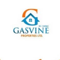 gasvine Profile Picture