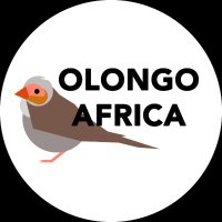 OlongoAfrica.com(@OlongoAfrica) 's Twitter Profile Photo