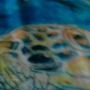 kaitlin stone - @kaitlinstone1 - Twitter