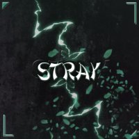 ❄️Stray❄️ (@whoisstray) 's Twitter Profile