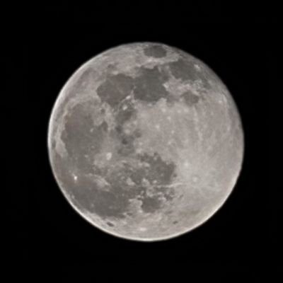 ZareenChoudhury's profile picture. 