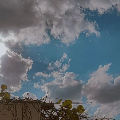 يا عراق كفانا موت يا وطني ،
Department of English language 💜
