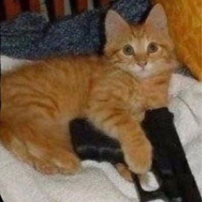 go away im deadさんのプロフィール画像