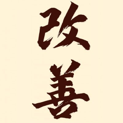 Kaizen Profile
