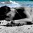 Marichis2602's profile image
