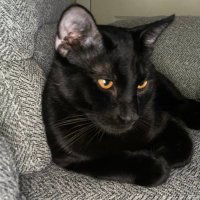 Lakim (@laaakim1) 's Twitter Profile Photo