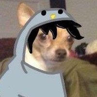 Duxo 🐧 (@duxorethey) 's Twitter Profile Photo Duxo 🐧 (@duxorethey) 's Twitter Profile Photo