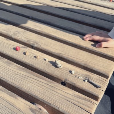 toridoririi's profile picture. 発達アカB7y.G6m