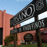 Pisano Wines Uruguay(@pisanowinesuy) 's Twitter Profile Photo
