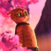 macélo (@macelow00) 's Twitter Profile