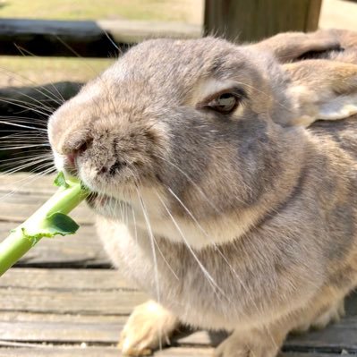 miiia__c's profile picture. 🇨🇦2023.4~2024.2 Vancouver 2024.2~2024.6 Banff | 学生ビザ→ワーホリ切り替え | お豆腐メンタルのぽんこつカナダ日記🌱帰国しちゃったよ🇯🇵 | 次は🇳🇿🇲🇹WH考え中！