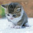 pui299's profile image