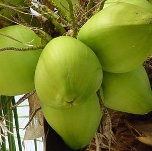 gundulgundul20's profile picture. Don't rich people difficult😅