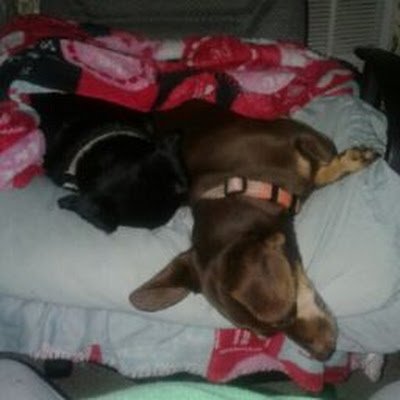 mozingoheather1's profile picture. 