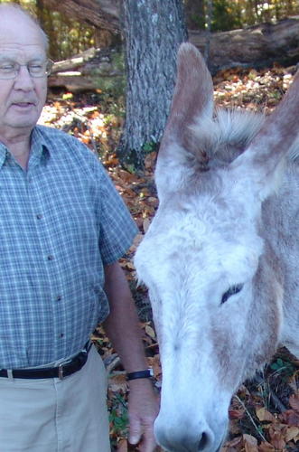 Satellite Rescue & Adoption Center for Peaceful Valley Donkey Rescue.