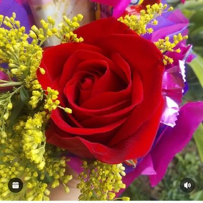 Karla153464811's profile picture. 