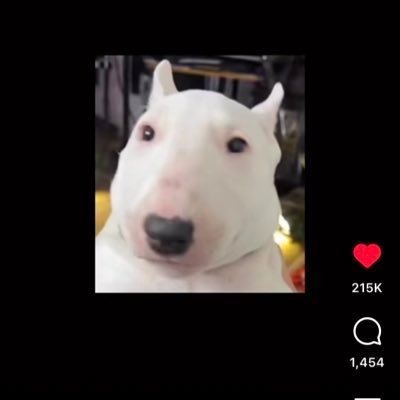 AmirDonDada24's profile picture. 