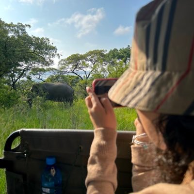 alereal2393's profile picture. ✈️ 🌍📚🏃🏻‍♀️